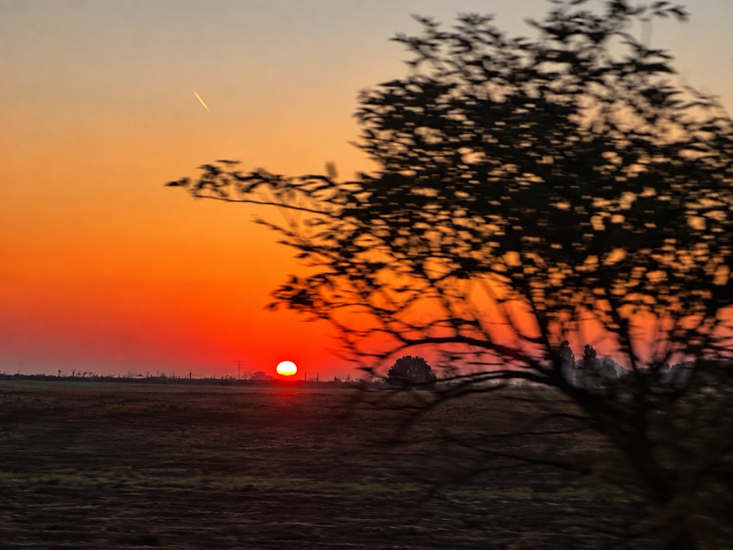 A vivid sunset over tea fields along the northern Iranian coast, framed by a motion-blurred tree and a small bright streak in the evening sky.